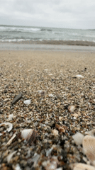 Morning beach documentation captured at Kiten, Bulgaria seaside