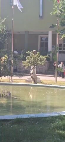 The video shows an outdoor scene in front of a light green building. In the foreground, a murky green pond with a white border is visible. The pond has some submerged elements that appear to be part of a fountain. In the middle ground, a unique tree stands in front of the building. The tree has a rough, light-colored trunk that is partially wrapped, and its branches are shaped into a dense, leafy canopy. Behind the tree, the light green building has several windows and a set of stairs leading to an entrance. A white pillar is also visible near the entrance. Several people are present in the scene. To the left, two individuals are seated at a table, seemingly outdoors. To the right, a person walks past the building. The scene is bathed in sunlight, suggesting it is daytime.