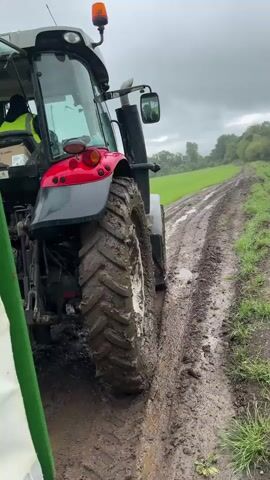 A red and black tractor drives on a deeply rutted, muddy dirt path under an overcast sky. The camera captures the tractor's muddy rear wheel churning through the path before panning to the right. A wooden fence borders the path, separating it from a vibrant green field where several light-colored animals, possibly sheep or horses, are visible in the distance near a line of trees.