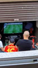 Summer evening in Sant Joan les Fonts: cricket, soccer, and garden life