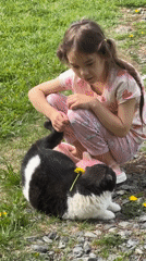 Girl plays with cat, picks dandelions in Kharnavy morning