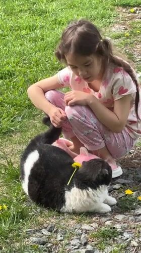 Girl plays with cat, picks dandelions in Kharnavy morning