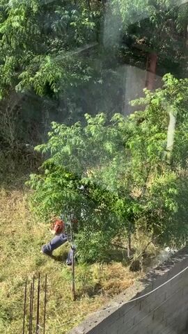 From a window perspective, a person is seen working outdoors in a grassy area with trees and some construction materials. The individual is wearing dark clothing and using a tool to trim or cut vegetation, specifically targeting branches or shrubs within the scene. A brick wall is visible in the lower right corner of the frame, and beyond the grassy area, there is a dense background of green foliage. The shot is static, providing a clear view of the individual and the immediate surroundings.