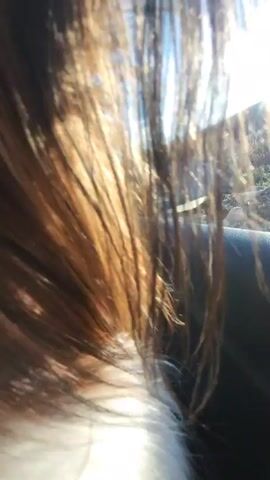 A dog is in a moving car, with its head and part of its body visible. The dog has long, brown and white fur. The camera's perspective is from inside the car, next to the dog. The car window is partially open, allowing the dog's fur to blow in the wind. The car's side mirror is visible, reflecting the driver, who is wearing glasses. The background outside the car includes a clear blue sky with light clouds, and a roadside area with vegetation. A "For Sale" sign is visible in the background. The car appears to be moving on a road.