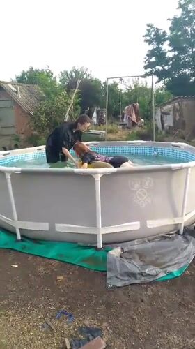 Backyard pool day in a Russian village, dog included