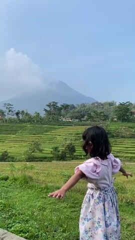 A small girl, wearing a pink shirt with a Mickey Mouse design and a floral print skirt, is standing with her arms outstretched on a concrete ledge in front of a lush, green rice paddy. Behind the rice paddy, a large mountain is partially obscured by clouds. The sky is a pale blue with scattered white clouds. The girl is facing away from the camera at first, then turns to look directly at the camera with a serious expression. The surrounding environment includes green grass, trees, and a few buildings visible in the distance.