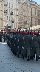 Military march and horse carriage near Stephansdom, Vienna