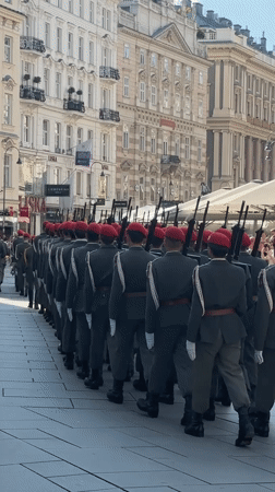 Military march and horse carriage near Stephansdom, Vienna