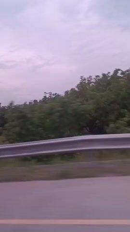 The video is a horizontal, slightly blurry, first-person perspective of a roadside landscape. The foreground shows a gray asphalt road with a faint yellow line marking the edge. A silver metal guardrail runs horizontally across the middle of the frame, obscuring the view of the ground behind it. Beyond the guardrail is a grassy verge, and further back, a line of green trees. In the background, rolling hills are visible, some appearing barren and rocky, others covered in vegetation. The sky is a pale, cloudy, purplish-gray. The lighting suggests it is either dawn or dusk. The camera appears to be in motion, likely from a vehicle traveling along the road, as indicated by the horizontal blur. There are no people or discernible animals visible. The overall environment is rural and undeveloped.