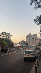 Late night Jerusalem street scenes feature selfie, cat sighting