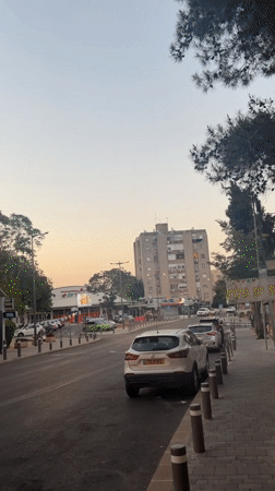 Late night Jerusalem street scenes feature selfie, cat sighting