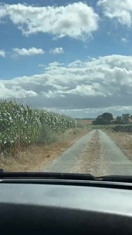 The video shows a view from inside a car driving down a rural road. A cornfield is on the left side of the road, and the road continues into the distance towards a treeline. The sky is blue with fluffy white clouds. The side mirror of the car is visible on the right, reflecting the interior and a person's legs. The car appears to be traveling on an asphalt road that has some debris on it. The landscape suggests a warm, possibly summer day.