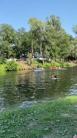 The video shows a sunny day on a river with lush green trees lining the bank. Several people are visible on the water. In the foreground, there is grass and a small patch of the riverbank. Further out on the water, several individuals are paddleboarding or kayaking. One person is in the water, appearing to be swimming. The water is calm and reflects the sky and surrounding trees. The overall atmosphere is one of outdoor recreation on a warm day.