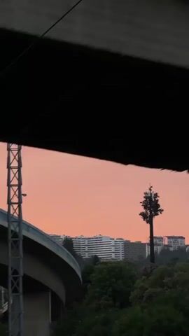 A handheld video captures a view from a moving vehicle, possibly a train, looking out over a city skyline at dusk. The sky is a soft pink and orange hue. In the foreground, the concrete structure of a bridge or overpass dominates the left side of the frame, with visible support pillars. Overhead, a network of power lines and supporting structures are visible. Trees and foliage are scattered throughout the middle ground. In the distance, a cluster of multi-story buildings, some appearing residential or office blocks, are visible, along with a tall industrial-looking tower. The camera moves from left to right, following the progress of the vehicle.