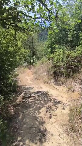 A first-person perspective video of a dirt path winding through a lush green forest. The path appears well-trodden and is flanked by trees, undergrowth, and scattered rocks. The sun is shining, casting dappled shadows on the path. In the distance, a valley with more trees and a hazy sky is visible. The camera moves forward along the path, offering a dynamic view of the natural landscape.