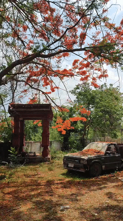 Abandoned truck spotted on grassy lot in Pattaya