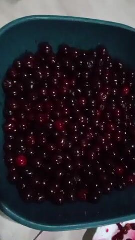 The video shows a close-up, overhead view of a deep, teal-colored plastic bowl filled with ripe, dark red cherries. The cherries are plump and glossy, with some reflecting the light. The bowl is placed on a light-colored, textured surface, possibly a tablecloth or a woven mat, which appears to be a pale pinkish-beige with a subtle pattern.

To the lower right of the bowl, there is a small, white ceramic plate with a floral pattern. This plate contains a small pile of cherries, some of which appear to have been eaten or are being processed, as evidenced by scattered pits and a small amount of red juice staining the plate.

The lighting is dim, suggesting an indoor setting, likely during the day with artificial light or in the evening. The overall mood is domestic and hints at food preparation or enjoyment. There is no visible text in the video. The scene is static, with the camera focused on the bowl of cherries and the surrounding area. The context provided of "Жошук, Kyrgyzstan" suggests the geographical location where this scene is taking place.