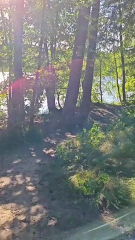 A first-person perspective video shows a dirt path winding through a sun-dappled forest. Tall trees with green leaves line the path, casting shadows on the ground. Sunlight filters through the canopy, illuminating the lush vegetation. In the distance, a body of water, likely a lake or river, is visible, reflecting the bright sky. The scene suggests a peaceful walk in nature.