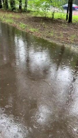 The video shows a wet, muddy path or road with puddles of water. Raindrops are visible creating ripples on the surface of the water. Trees and green foliage are visible on the sides of the path. The camera is moving forward, suggesting the video was taken while walking or driving. The weather appears to be overcast and rainy.