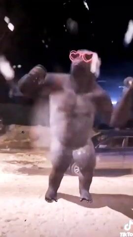 A CGI gorilla wearing heart-shaped sunglasses is dancing in what appears to be a street at night. Snow is falling, and there are blurred lights in the background. The gorilla's body is gray and muscular. It has its arms raised and is moving its hips and legs.
