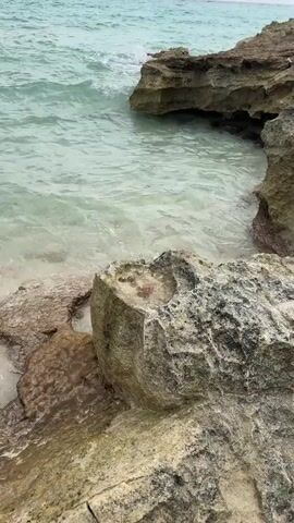 The video shows a close-up view of a rock pool on a rocky shoreline. The water in the pool is clear and shallow, with small waves lapping at the edges. Several limpets are visible on the bottom of the pool, along with a small, translucent jellyfish. The rocky environment is rough and textured, suggesting a natural, coastal setting. The camera slowly zooms in on the rock pool, highlighting the marine life within. There are no people visible in the video.