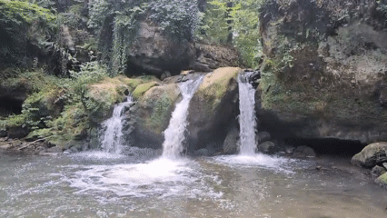 Hanging out at a mossy woodland waterfall
