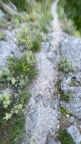 The video opens with a low-angle shot, showing the legs of a person wearing blue jeans and light-colored shoes walking along a narrow, rocky dirt path. The camera quickly pans upwards to reveal a majestic mountain landscape under a clear blue sky with a contrail. The final shot is a stationary, wide view of a winding dirt path leading into a verdant valley or canyon. Steep, grey rocky cliffs line both sides of the path, covered in green bushes and trees. In the distance, taller mountains are visible, with a prominent reddish-brown rock formation amidst the greenery. A power line tower stands on a peak to the right. The scene depicts a serene, mountainous environment, likely in Zupci, Montenegro, during the day with soft, bright light. There is no visible text.