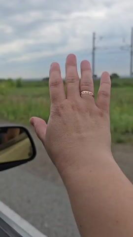 A hand is held up with fingers spread. A ring is visible on one of the fingers. The background is blurry and shows greenery and a cloudy sky. The hand appears to be in a car as a side mirror is visible on the left side of the frame.