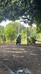 Motorcyclist and collared cat spotted in Carmen, Philippines morning