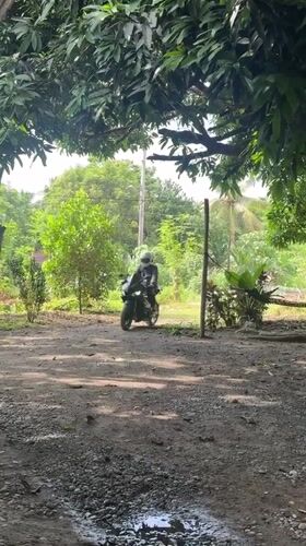 Motorcyclist and collared cat spotted in Carmen, Philippines morning
