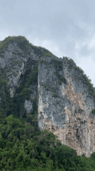 Rock face with vegetation filmed in Ao Nang, Thailand