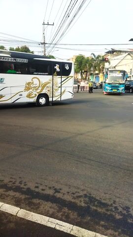 A vertical video captures a street scene. A white bus with gold decorative trim is parked on the right side of a paved road. Power lines are visible overhead, with poles on the left. In the background, a blue and black bus is driving away from the camera. There are buildings and trees lining the street, suggesting an urban or semi-urban environment. The road surface appears wet in places. No people are clearly visible.