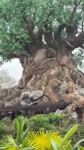 The video shows a large, detailed artificial tree with carvings of animals on its trunk and branches. The tree is surrounded by lush vegetation, including ferns and leafy plants. Water appears to flow from the upper levels of the tree, creating small waterfalls. A wooden structure with railings is visible beneath the tree's base. The sky is overcast. Voices are heard in the background.