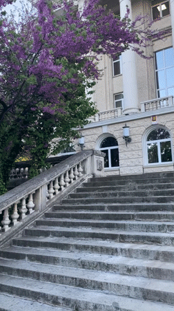 Everyday scenes captured during afternoon stroll through Gabrovo, Bulgaria
