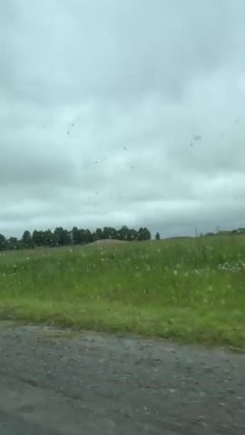 A first-person perspective video captures a drive through a rural landscape on a cloudy day. The camera is positioned inside a vehicle, looking out through a windshield that has water droplets on it, creating blurry circular spots throughout the footage. The scene consists of a dirt road in the foreground, with patches of mud and standing water. Beyond the road lies a vibrant green grassy field, stretching into the distance. A line of trees is visible on the horizon, with a patch of reddish-brown earth or vegetation in the middle ground. As the vehicle moves, the landscape shifts slightly, revealing more of the field and the sky. The sky is overcast with thick, gray clouds. In the later part of the video, a tall, thin pole, possibly part of a fence or structure, becomes visible in the field to the right, with a larger, more substantial object behind it, possibly hay bales. A lone tree with dark green foliage is also visible on the left side of the frame. The overall impression is one of driving through a damp, overcast, and open countryside.