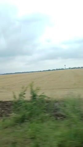 The video captures a view from a moving vehicle, likely a train or car, through a window. The foreground is blurred due to motion, showing green foliage and the dark, reflective surface of the window, with glimpses of trees and the sky. The background reveals a vast, golden field, possibly harvested wheat or hay, stretching towards the horizon. The sky is overcast with heavy, grey clouds. In the distance, a tall, slender structure, possibly a water tower or communication tower, is visible against the horizon. The video appears to be a brief, spontaneous recording of the passing landscape.