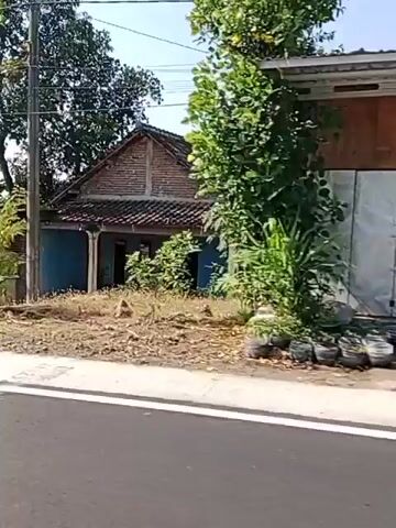 The video shows a roadside view from a moving vehicle. The scenery includes trees with brown and green leaves, vegetation, a house with a tiled roof, and a paved road with white lines. The houses appear to be of simple construction with tiled roofs and wooden elements. There are some trees and bushes lining the road and surrounding the houses. The sky is visible, appearing clear and blue. The overall impression is of a rural or semi-rural environment.