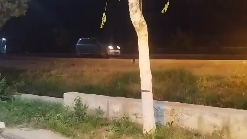 The media file captures a nighttime scene in Kyzyl-Kyya, Kyrgyzstan. The primary focus is a slender tree trunk, painted white, positioned in the foreground. To the left of the tree, a low concrete barrier is visible, bordered by overgrown grass and foliage.

In the middle ground, a road or highway stretches horizontally across the frame. The road is bordered by a grassy embankment. On the road, vehicles are moving, their headlights and taillights creating streaks of light against the dark background, indicating ongoing traffic. The time of day is clearly night, illuminated by artificial lighting from the road and possibly distant streetlights. The weather appears calm, with no visible signs of rain or strong wind.

The scene evokes a sense of quiet, nocturnal activity in a semi-urban or roadside environment. The stark white paint on the tree trunk stands out against the natural dark tones of the night, suggesting it may have been treated for visibility or as part of roadside maintenance. The overall mood is neutral, depicting a common nighttime roadside view. There is no visible text in the media file.