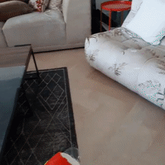 Domestic indoor activities recorded across Dubai locations