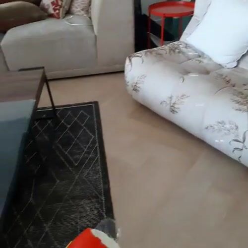 Domestic indoor activities recorded across Dubai locations