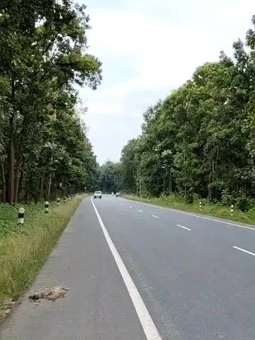 A highway stretches through a dense forest. The road is paved and has a white line dividing the lanes. On the left side of the road is a paved walkway with grass and trees lining it. On the right side, trees also line the road. There are several cars and motorcycles on the highway. The sky is overcast.
