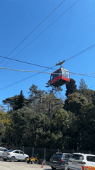 Morning scenes captured across Sochi: cable car, family selfie, store