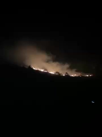 Here's a forensic description of the video:

**Scene:** The video captures a scene of a wildfire at night. 

**Visuals:**  Flames are visible along a line on a hillside, suggesting a fire spreading along the ground.  Smoke billows upwards, illuminated by the orange glow of the fire. The foreground appears dark, indicating the perspective is from a distance away from the fire. Some trees are distinguishable amidst the flames.

**Audio:** There is no speech or sound effects.

**Overall Impression:** The scene depicts a potentially uncontrolled wildfire event. The focus is on the spread and extent of the fire across the landscape.