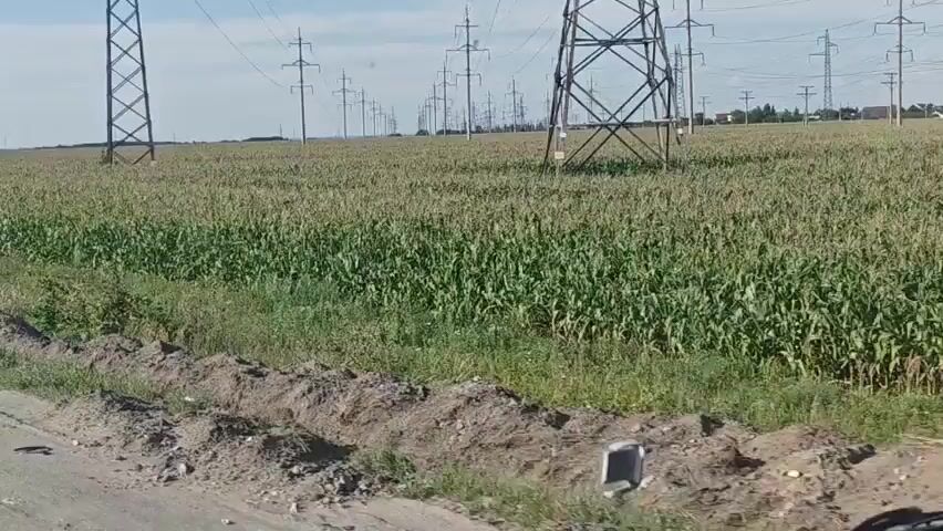 The video shows a cornfield with several large power line towers stretching across the horizon. The sky is blue with scattered clouds. The camera appears to be moving, possibly from inside a vehicle, as evidenced by the slight blur and the appearance of what might be a side mirror in the upper right corner of the frame. The corn plants are tall and green, suggesting a summer or early autumn setting. The power lines are strung between the towers, creating a network across the landscape. There is no visible human activity or any other discernible objects or events within the frame.