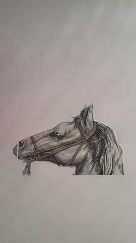 The media file shows a close-up, static image of a stylized drawing of a horse's head, positioned in profile. The horse is depicted with a bridle, featuring leather straps and metal rings. Its mane is drawn with flowing lines, and its eye is highlighted with a bright green color, giving it a striking and perhaps slightly ethereal appearance. The drawing is rendered in shades of gray and black, suggesting a pencil or charcoal sketch. The background is a plain, textured surface, possibly a wall, which appears to be off-white or light gray. There are no people, weather conditions, or specific location cues visible in the image, other than the provided context of Kizilyurt, Russia. The overall mood conveyed by the drawing is one of elegance and intensity, with the green eye adding a focal point of intrigue. There is no visible text in the media file.