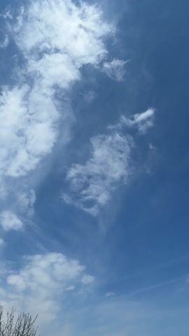 A bird is flying in the sky. The sky is blue with clouds.
