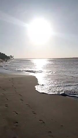 The video captures a serene beach scene at what appears to be either sunrise or sunset. The sun, a bright, hazy orb, hangs high in the sky, casting a shimmering reflection on the calm water. Gentle waves lap at the sandy shore, leaving footprints of receding water on the dark sand. In the distance, a faint silhouette of palm trees can be seen against the horizon. The overall atmosphere is tranquil and peaceful, with a sense of solitude.