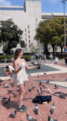 Woman feeds pigeons by hand in Barcelona square