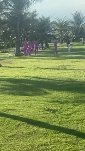 A group of people, mostly women in pink outfits, are gathered on a grassy lawn beneath palm trees. One person in white pants and a red shirt stands further away. Some of the individuals in pink appear to be stretching or exercising. The environment is a park-like setting with lush green grass and numerous palm trees. The lighting suggests it is daytime, possibly late afternoon given the long shadows cast on the grass.