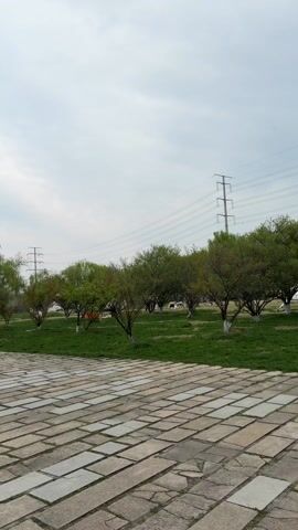 The video shows a park scene on a cloudy day. A stone-paved path leads into the park. There are trees and grass on either side of the path. In the distance, people are gathered, some with tents set up. Power lines are visible overhead. A building is visible in the far background.